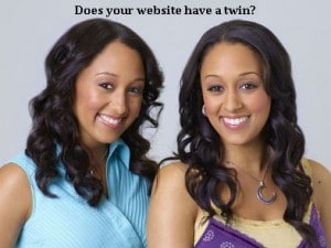 Cheshire SEO twin image